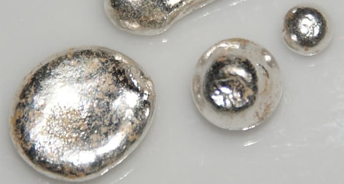 Най-много сребро се намира в главния мозък